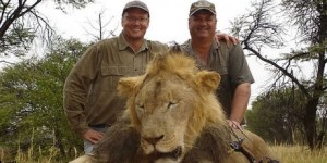 16803_DentistLionKillerWaltPalmer_1_460x230