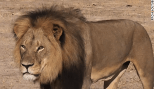 Screen Shot 2015-07-29 at 3.38.26 PM