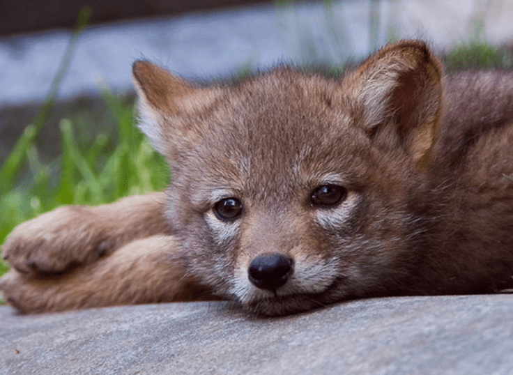 screen-shot-2016-12-28-at-11-14-08-pm